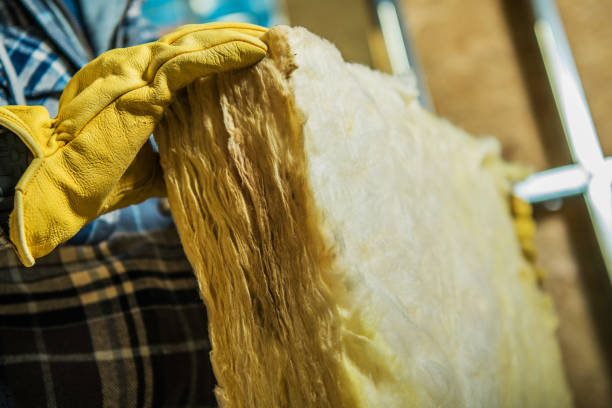 Best DIY Insulation Kits and Guidance in Easley, SC
