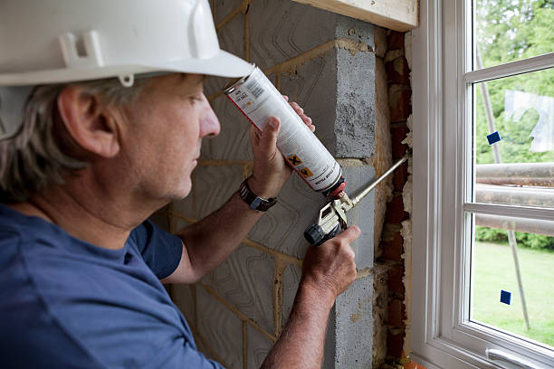 Best Cellulose Insulation in Easley, SC