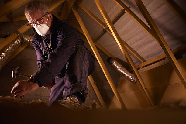 Types of Insulation We Offer in Easley, SC